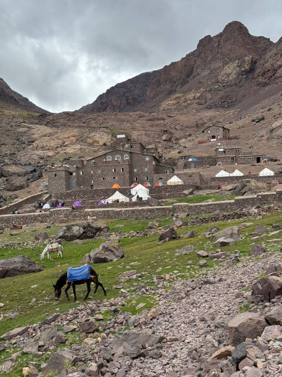 Traditional stone refuge at the foot of Mount Toubkal with mules grazing outside